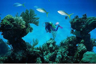 万代南梦宫裁员或影响与任天堂合作游戏项目